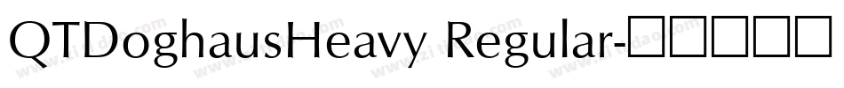 QTDoghausHeavy Regular字体转换